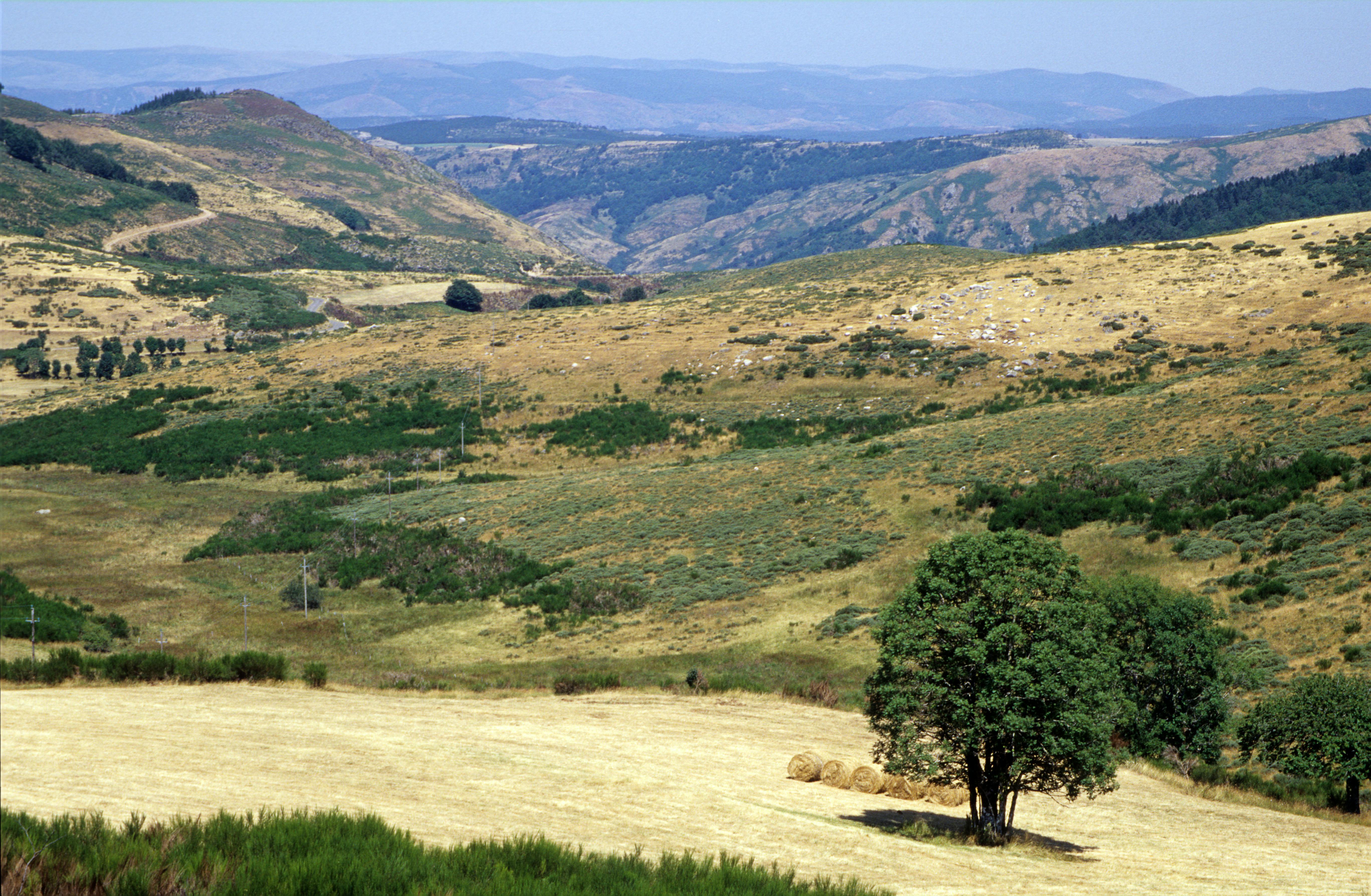Paysage d'Occitanie